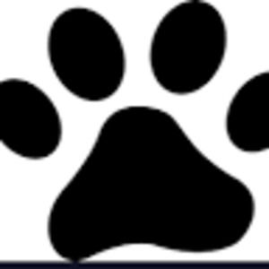 Meet your Posher, Brie